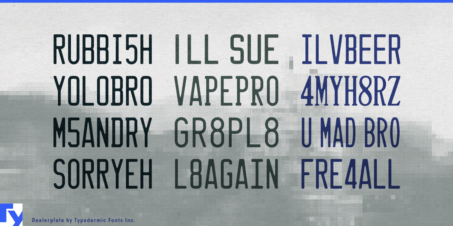 Dealerplate Font Poster #1