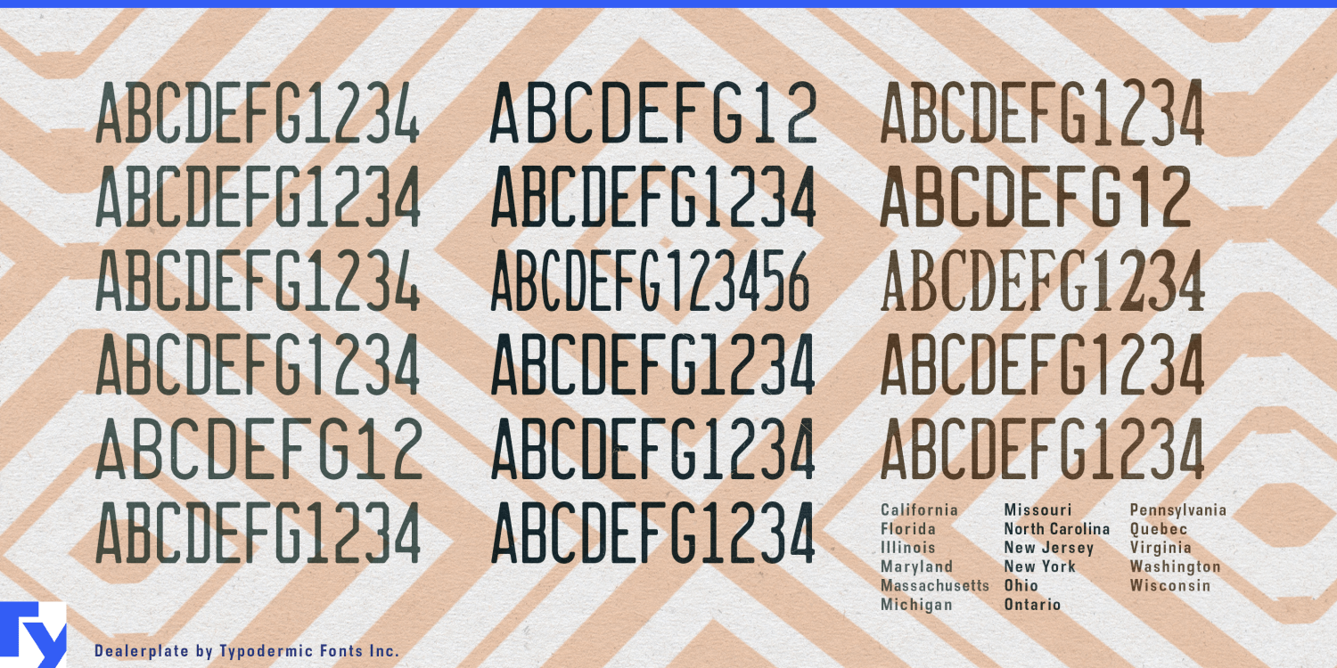 Dealerplate Font Poster #1