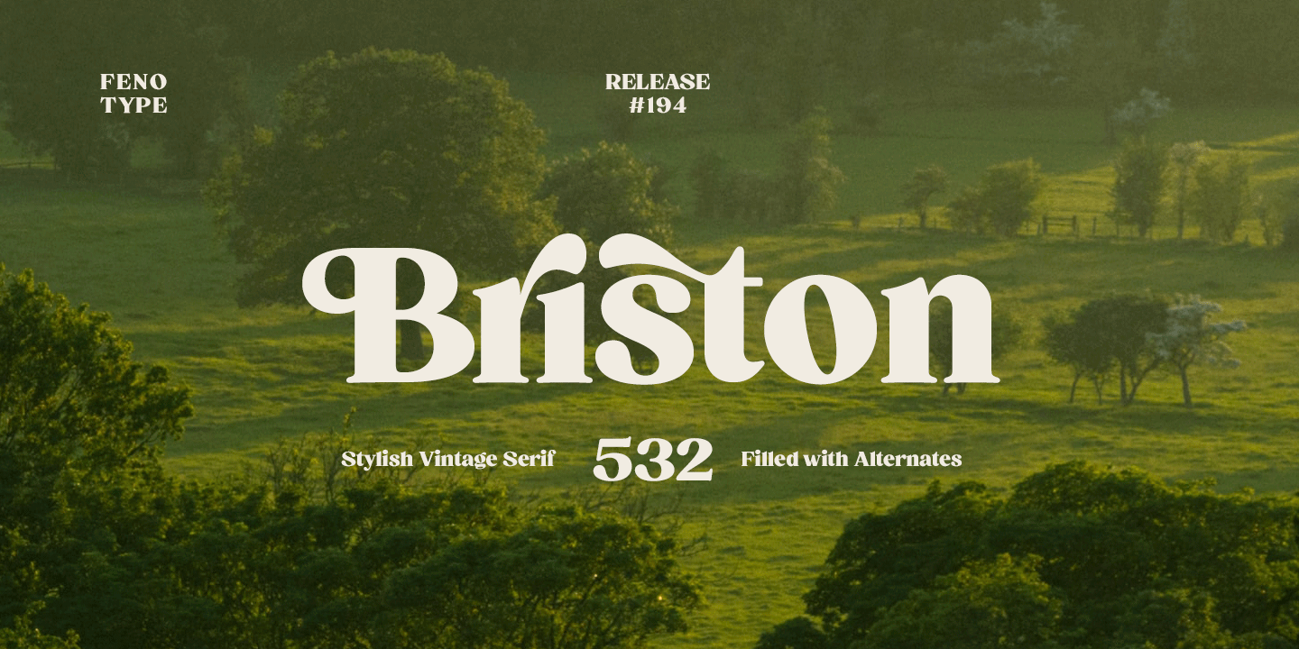 Briston Font Family Poster