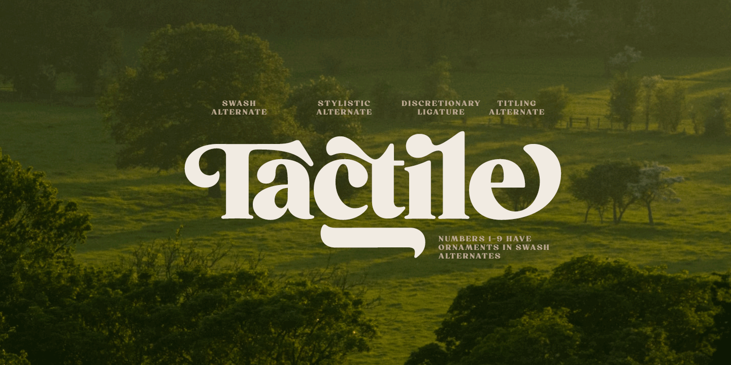 Briston Font Poster #1