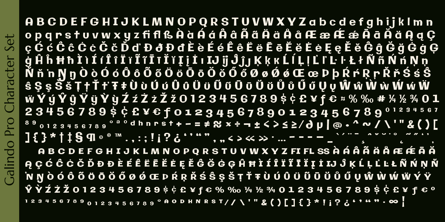 Galindo Pro Font Poster #1