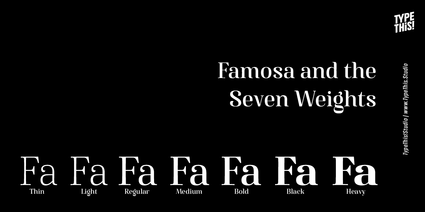 Famosa Font Poster #1