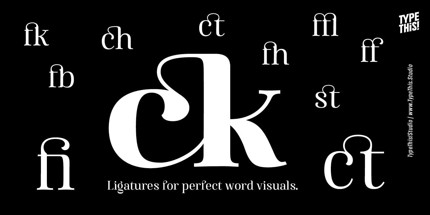 Famosa Font Poster #1