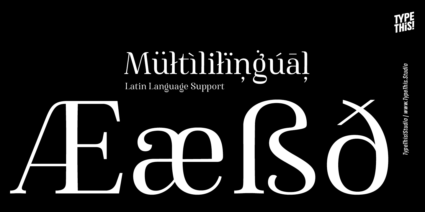 Famosa Font Poster #1