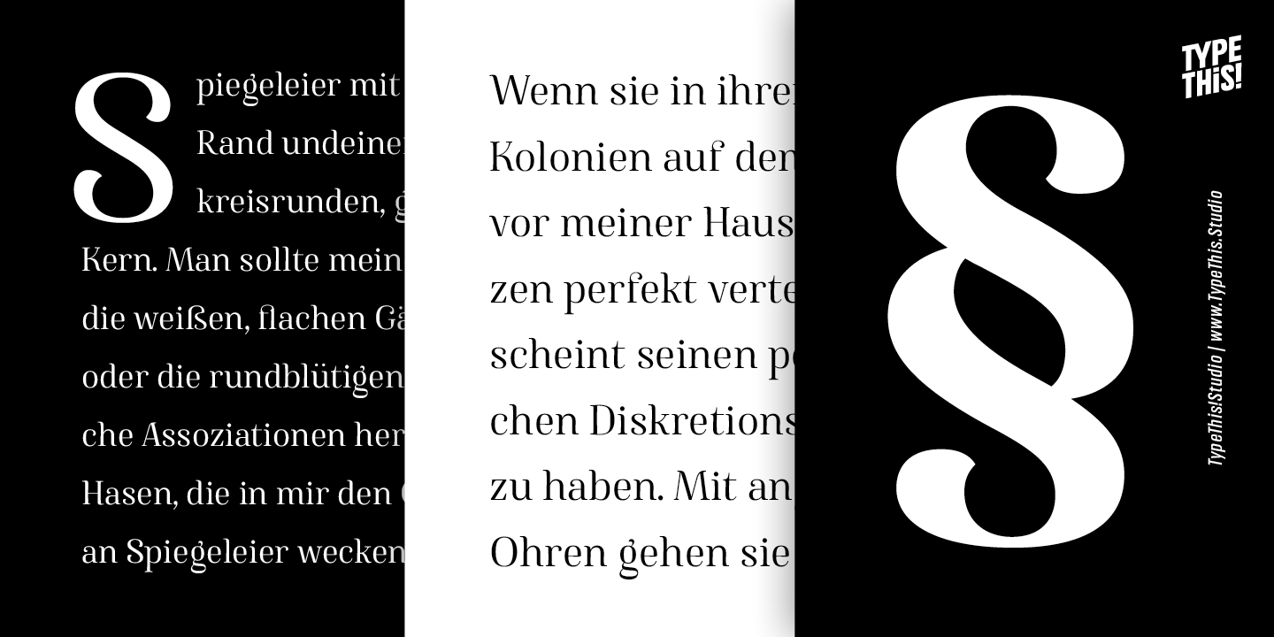 Famosa Font Poster #1