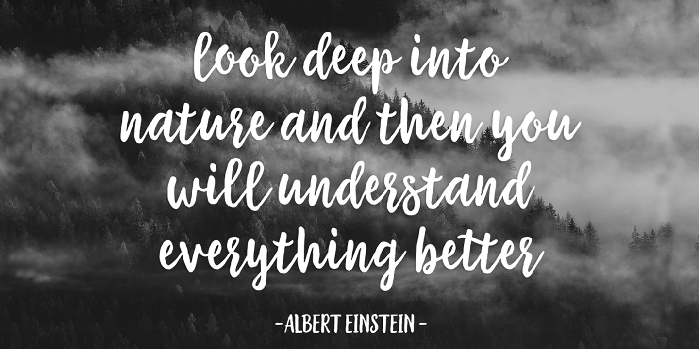 The Sweetest Thing Font Poster #1