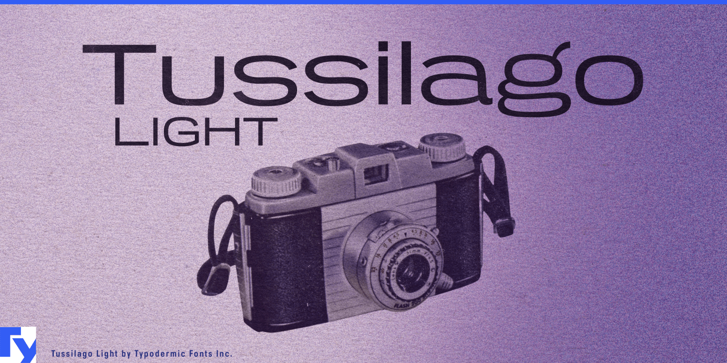 Tussilago Light Italic Font Poster #1