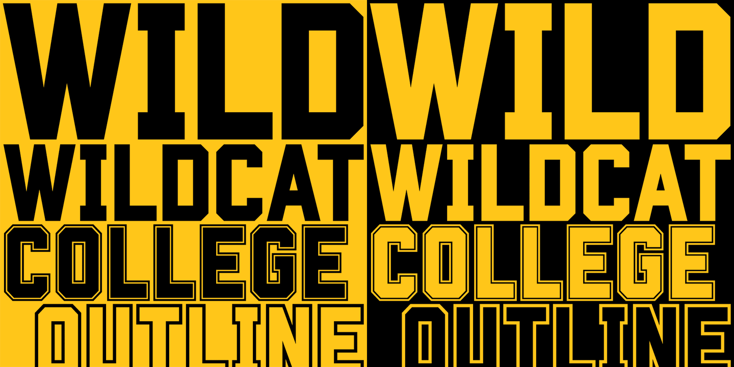 Wildcat Font Poster #1