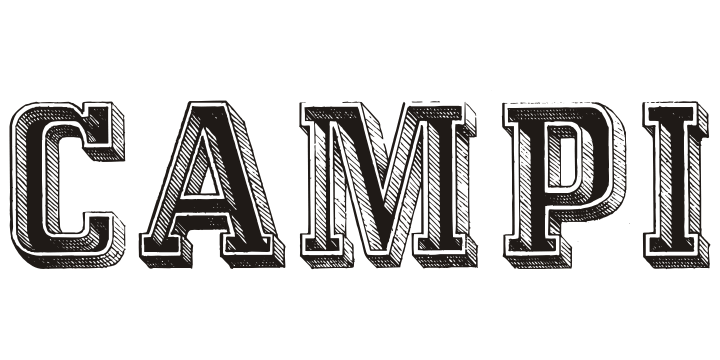 Campi Font Family Poster