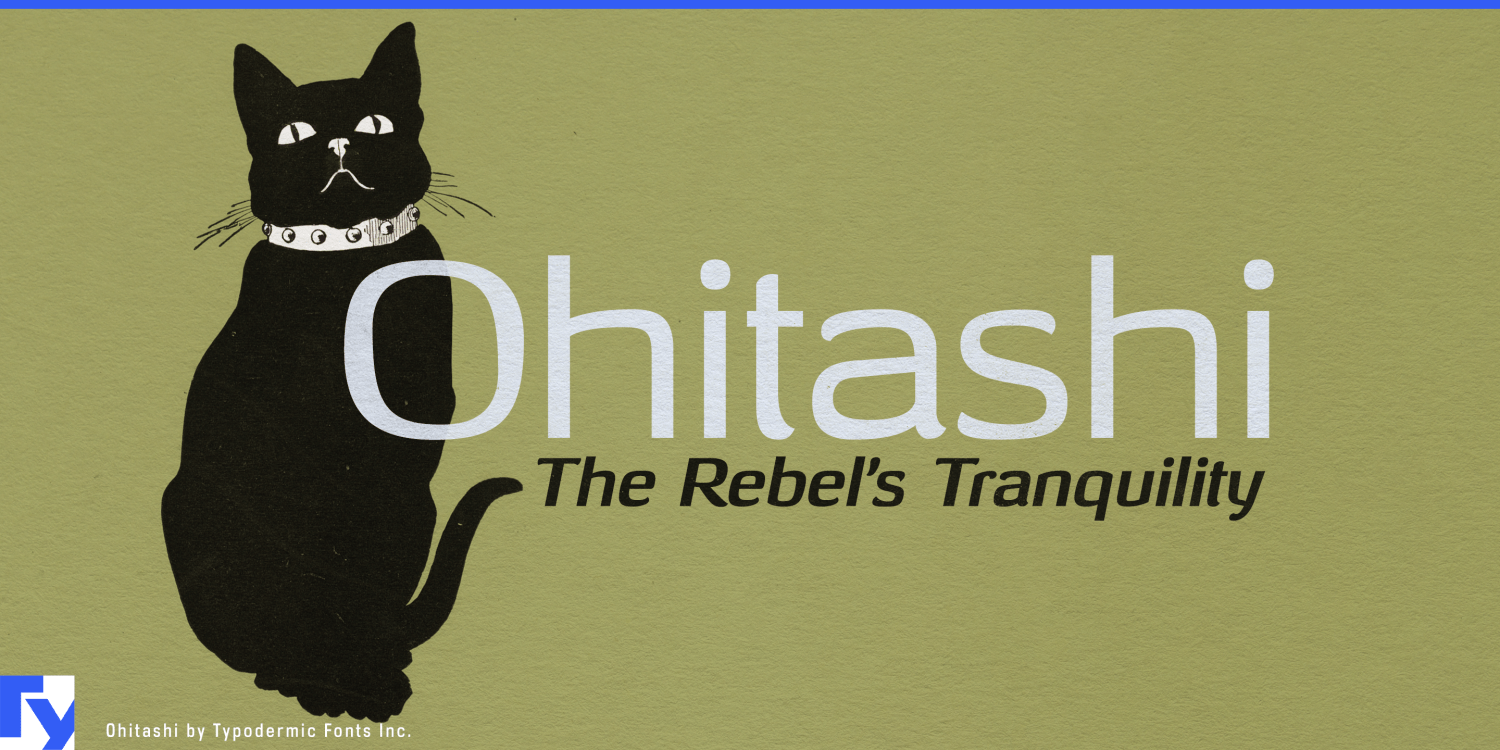Ohitashi Font Poster #1