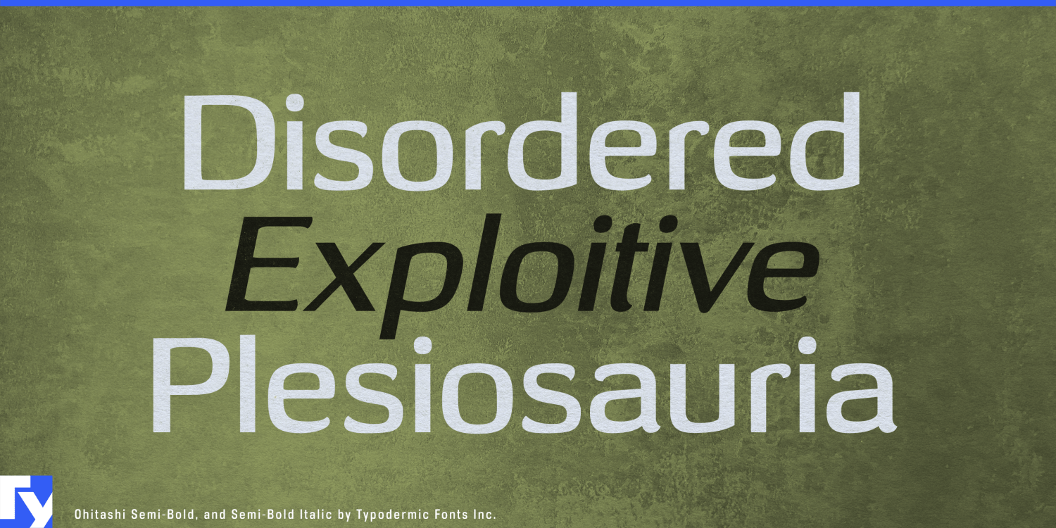 Ohitashi Font Poster #1
