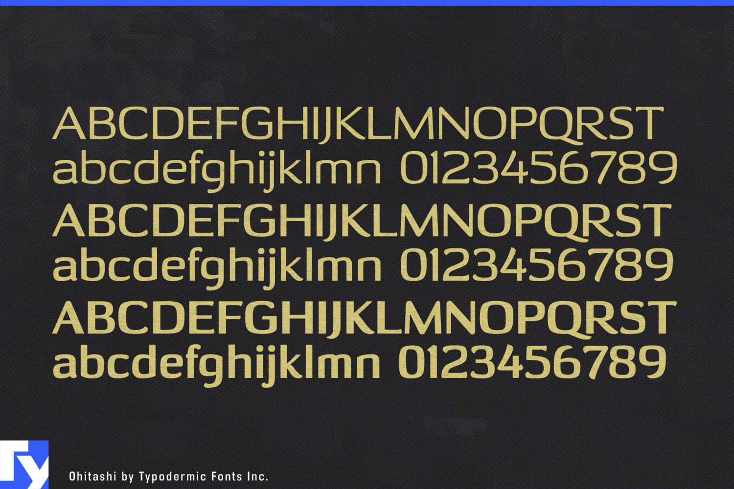 Ohitashi Font Poster #1