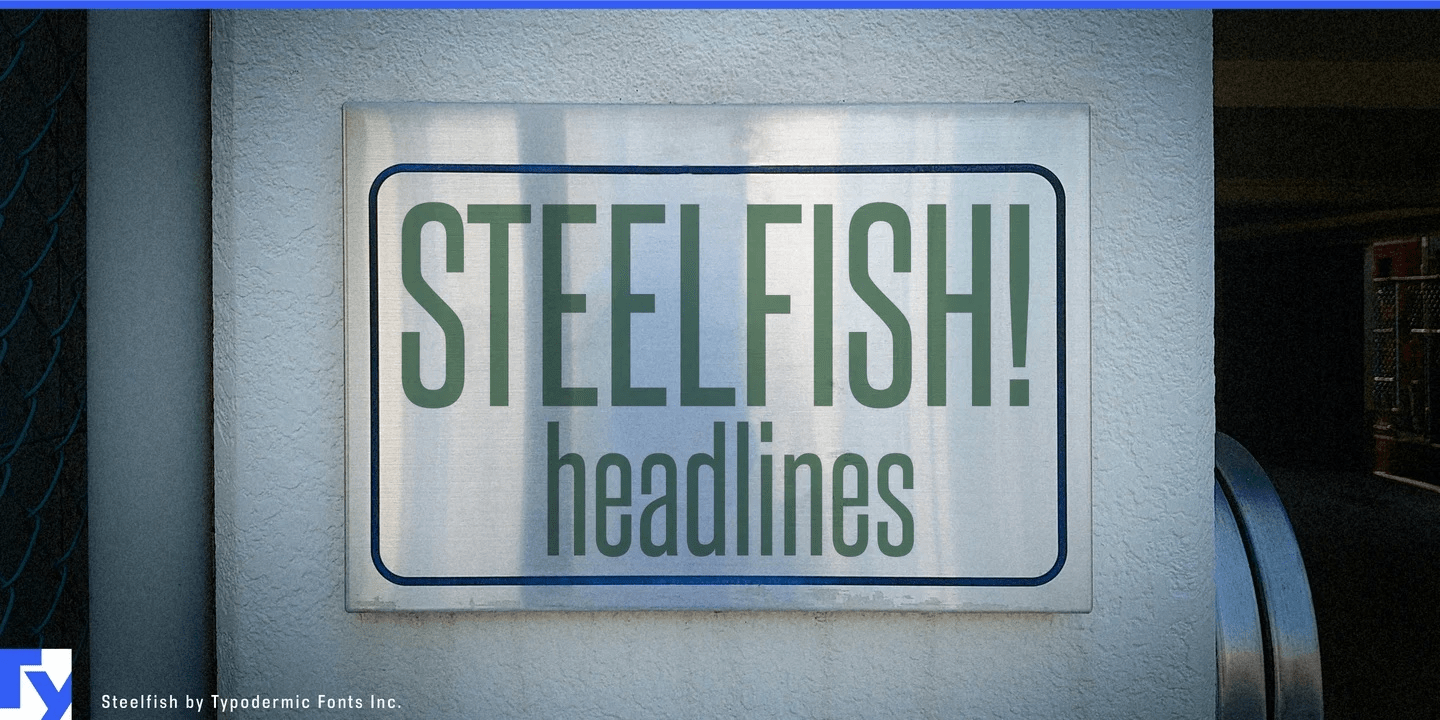 Steelfish Bold Font Poster #1