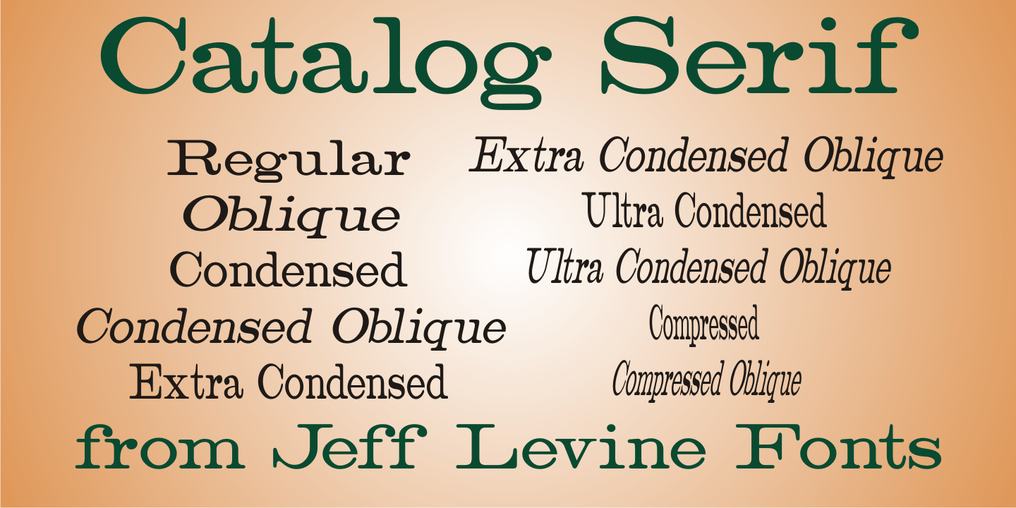 Catalog Serif Font Poster #1