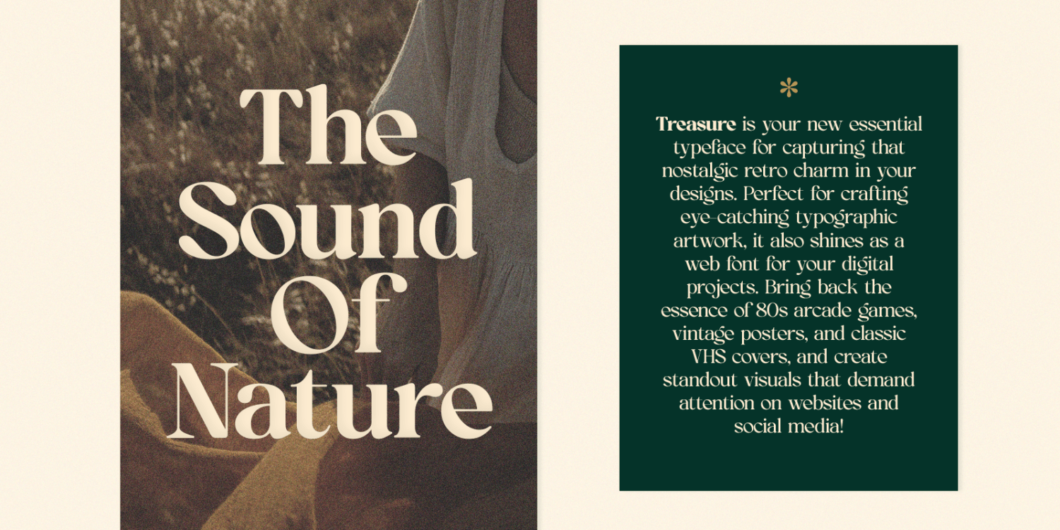 OV Treasure Font Poster #1