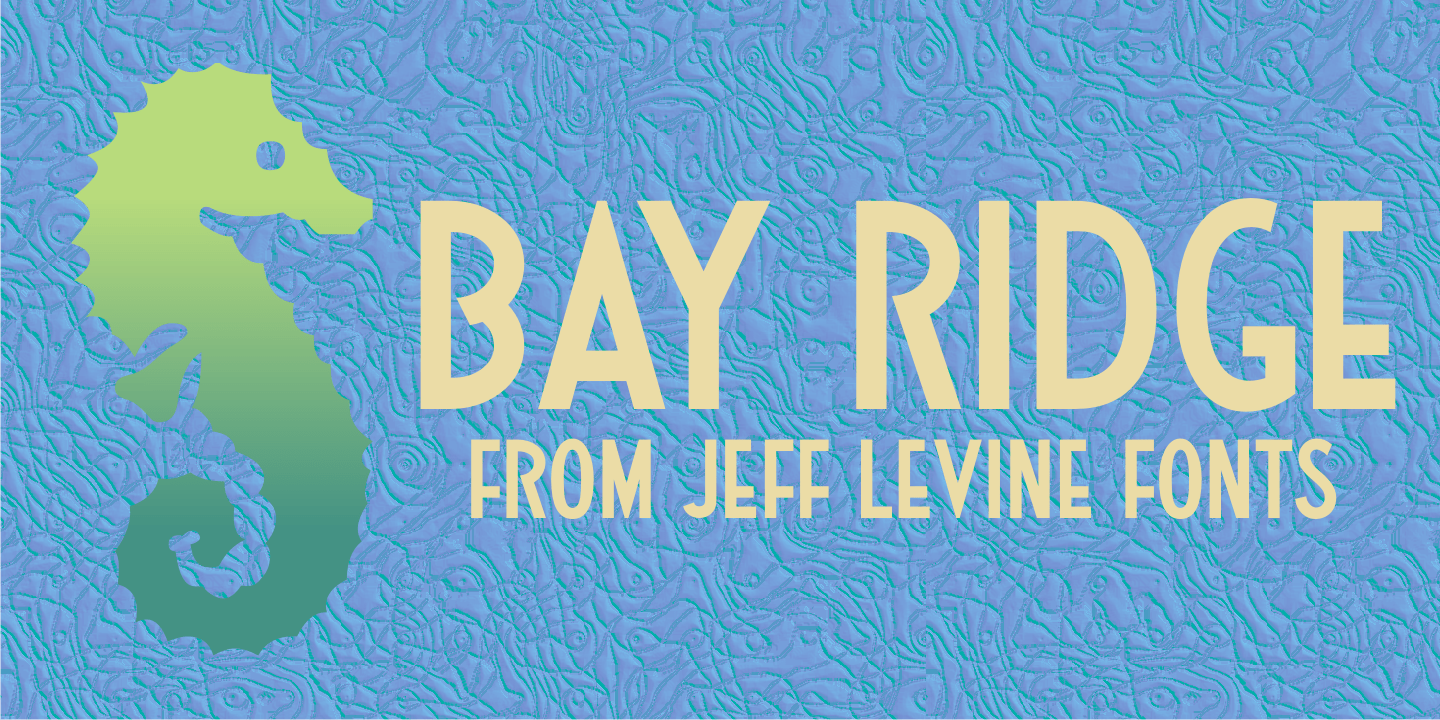 Bay Ridge Font Poster #1