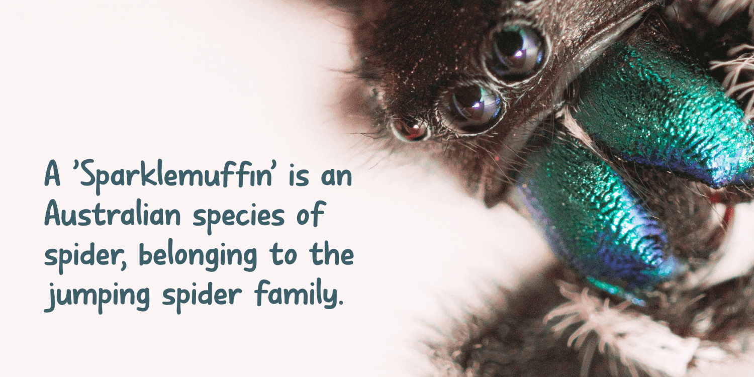 Sparklemuffin Font Poster #1