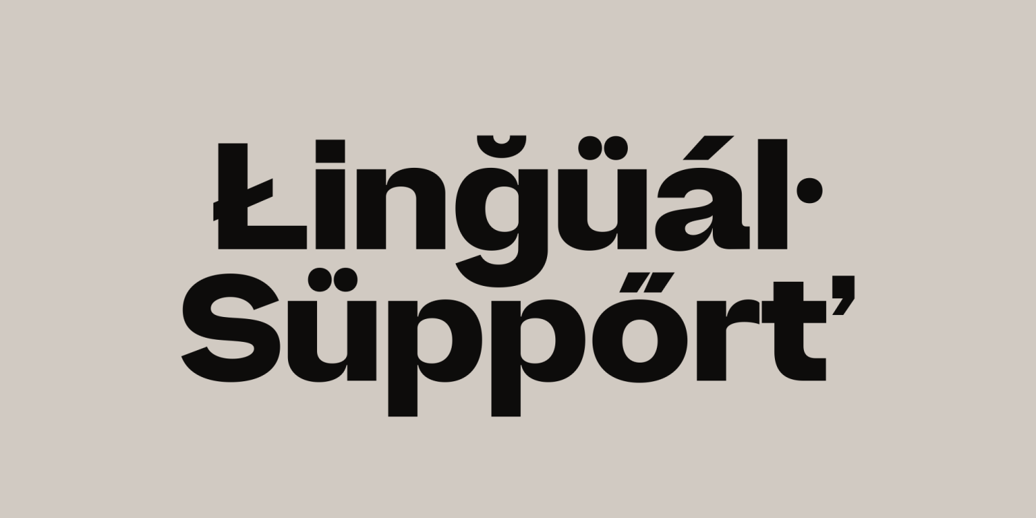 Also Sans Font Poster #9