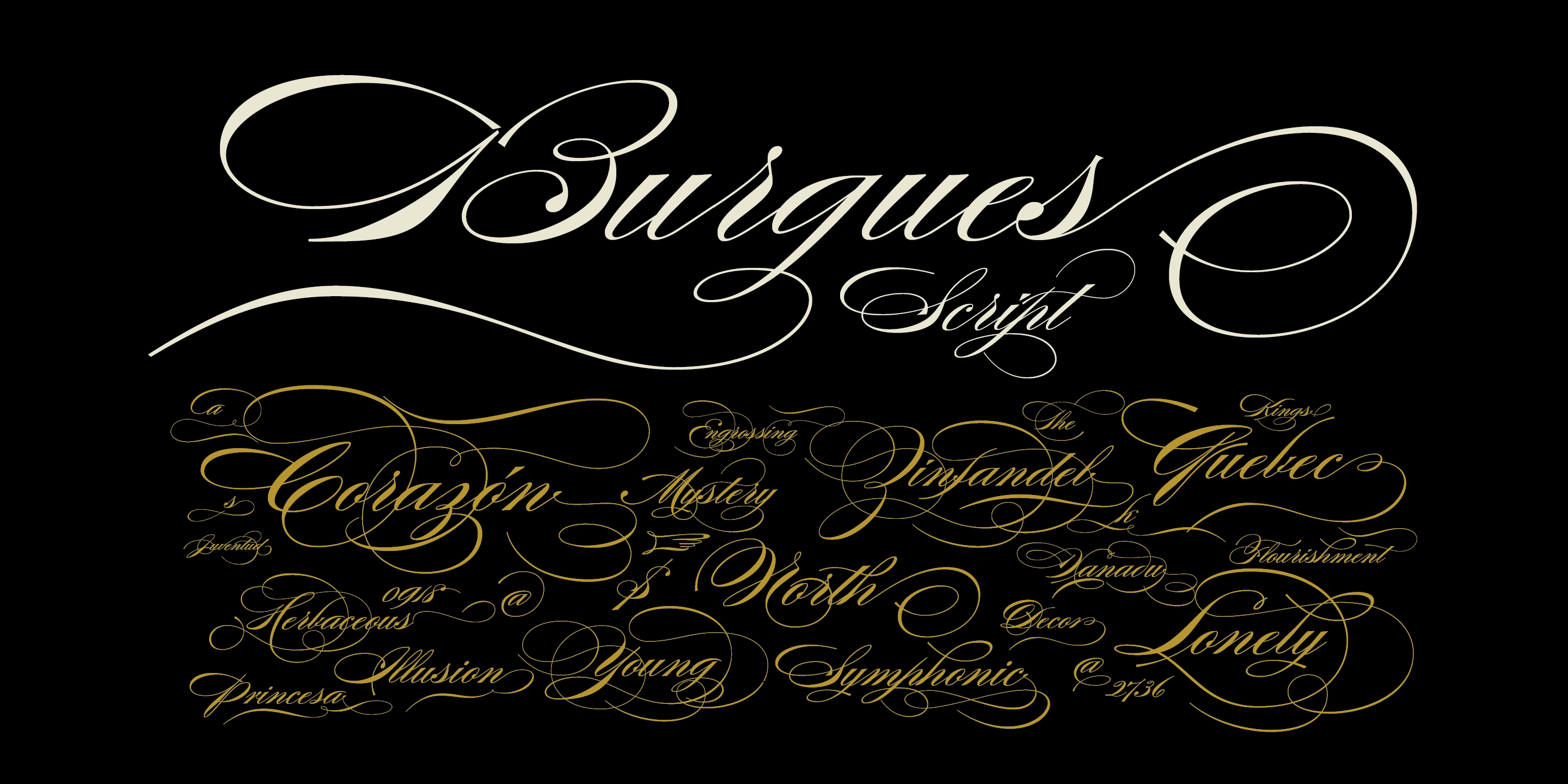 Burgues Script Font Poster #1