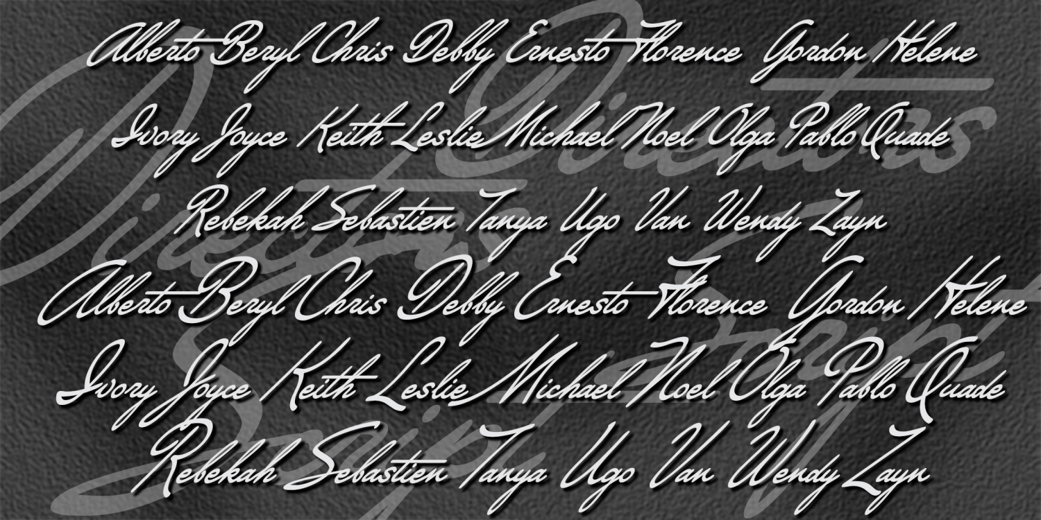 Directors Script Font Family Poster