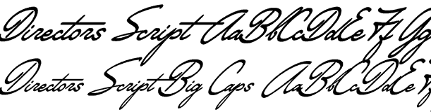 Directors Script Font Poster #2