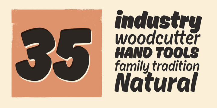 Ahkio Thin Font Poster #1