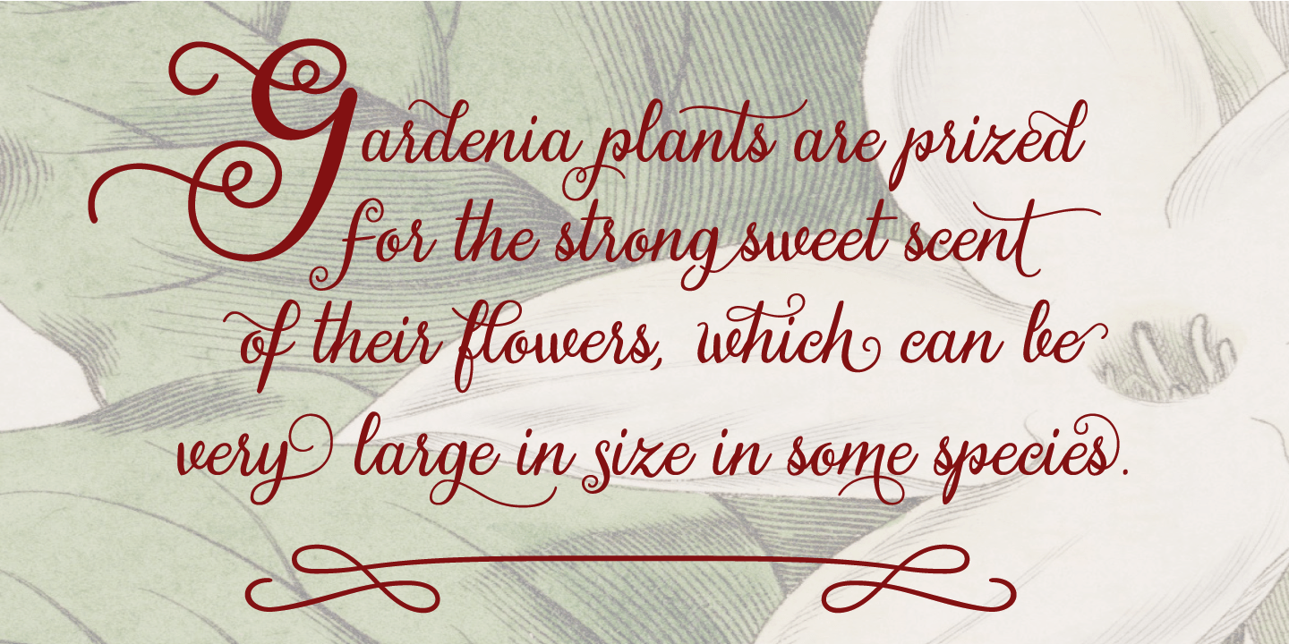 Gardeny Font Poster #1