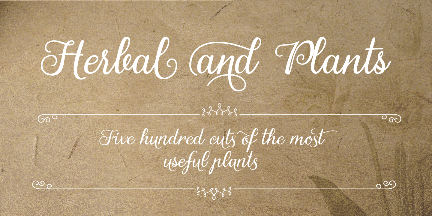 Gardeny Font Poster #1