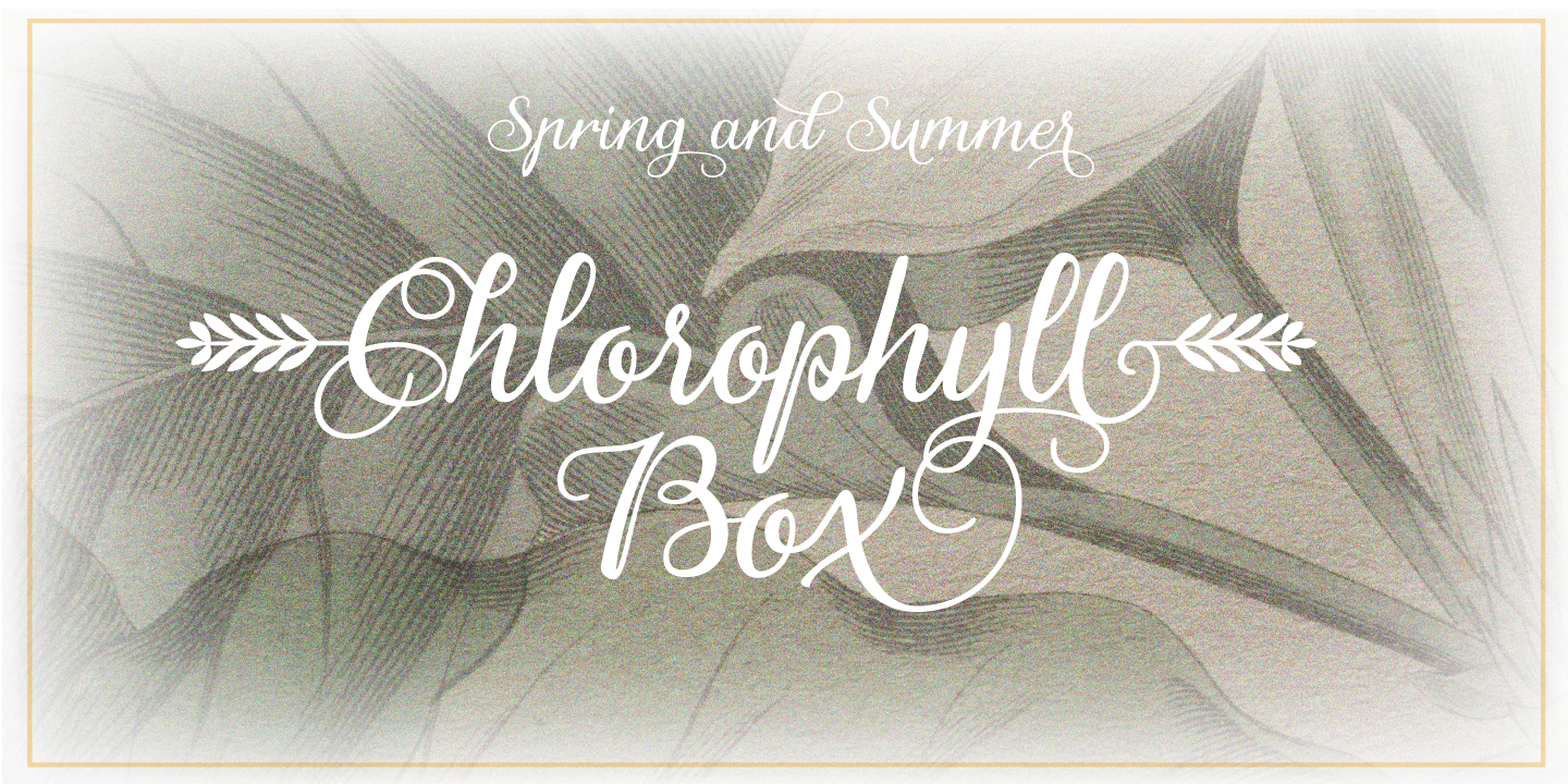 Gardeny Font Poster #1