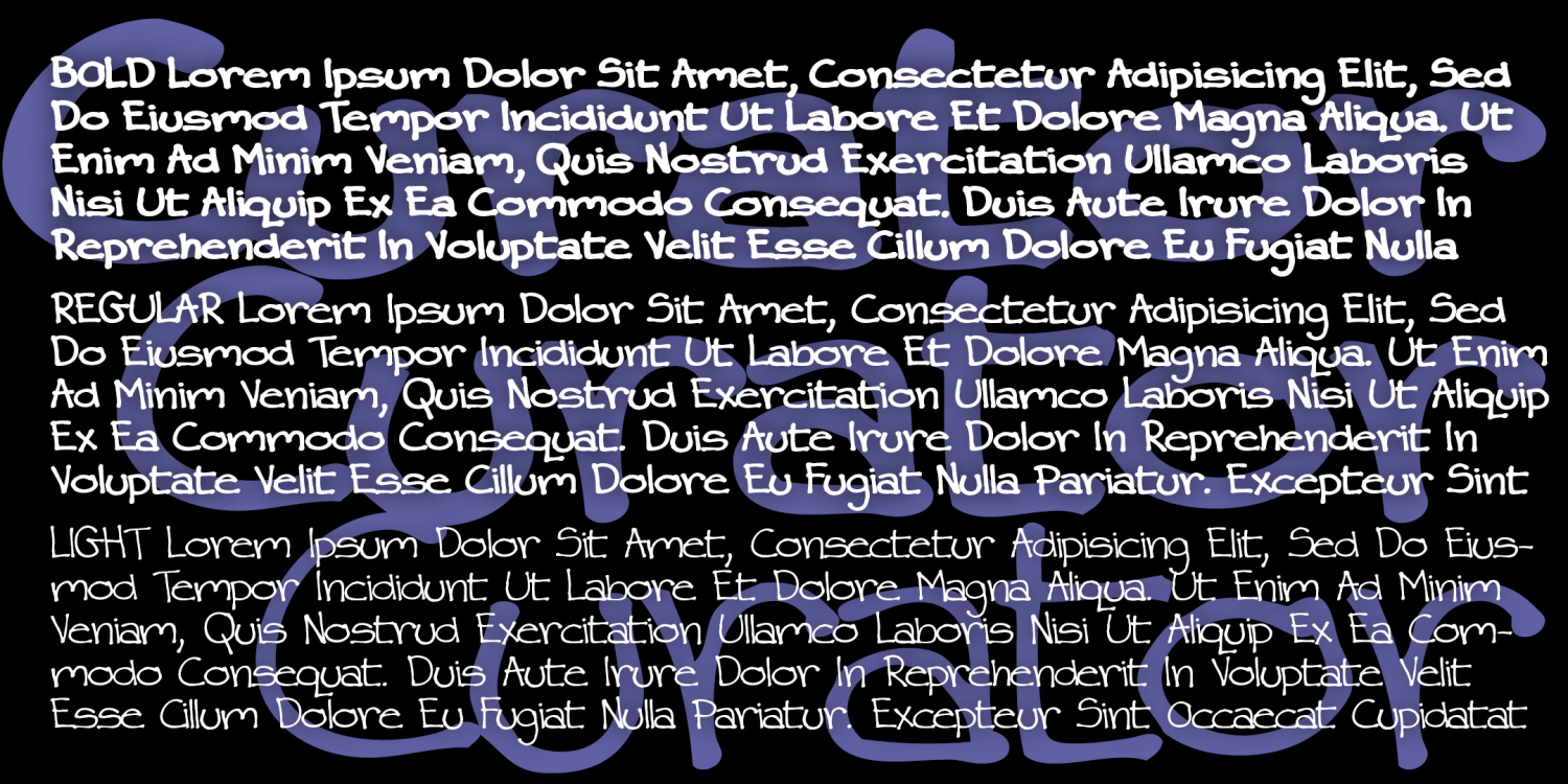 Curator Font Family Poster