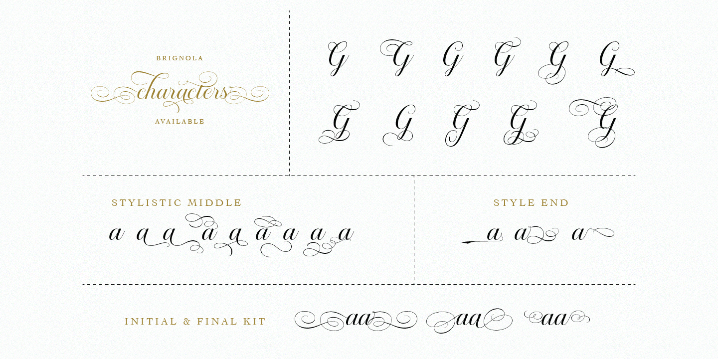 Brignola Script Font Poster #1
