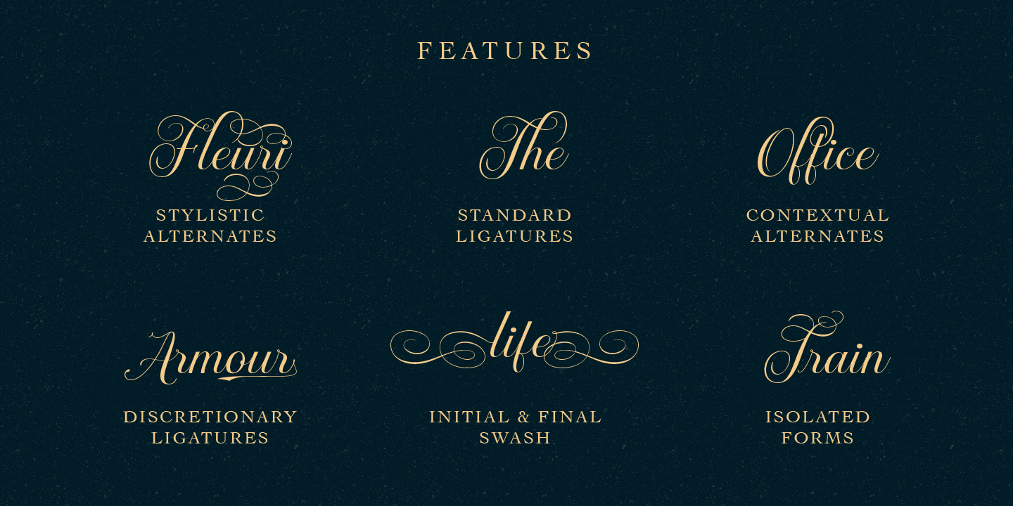 Brignola Script Font Poster #1