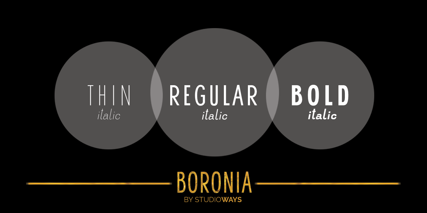 Boronia Bold Italic Font Poster #2