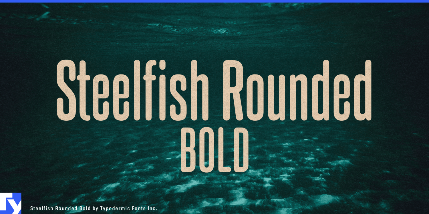 Steelfish Rounded Bd Font Poster #1