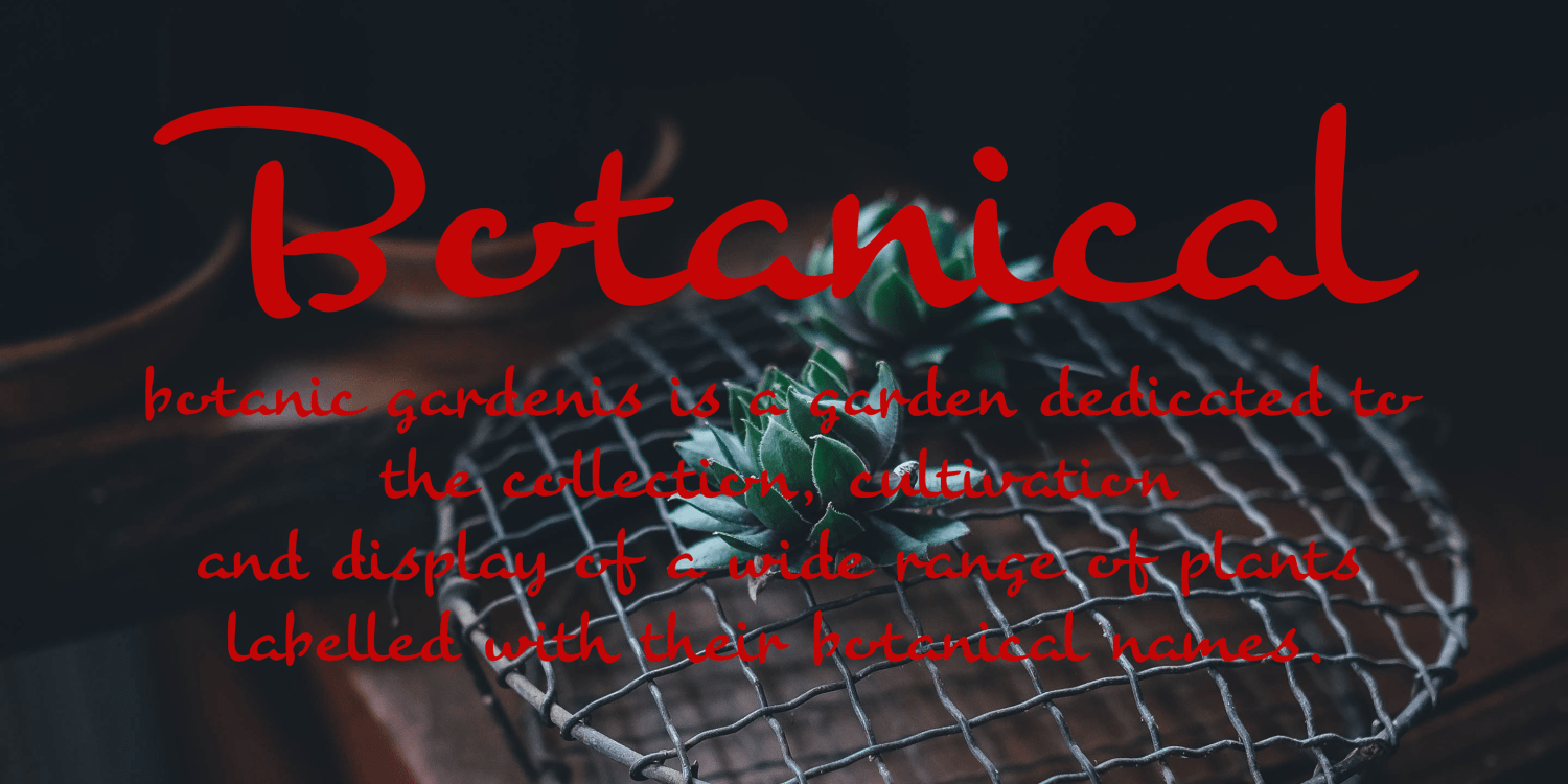 Banana Font Poster #5