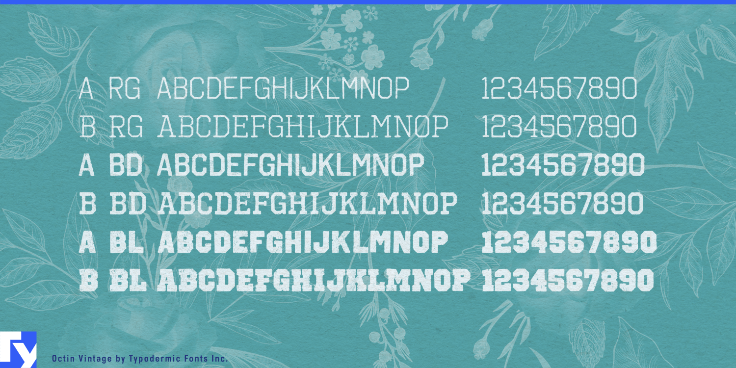 Octin Vintage Font Poster #1
