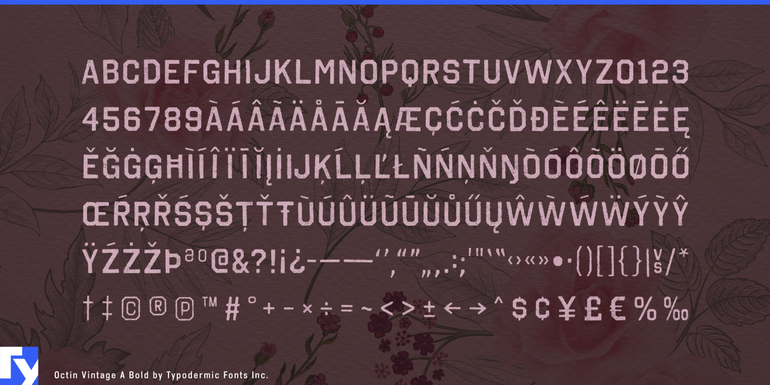 Octin Vintage Font Poster #1