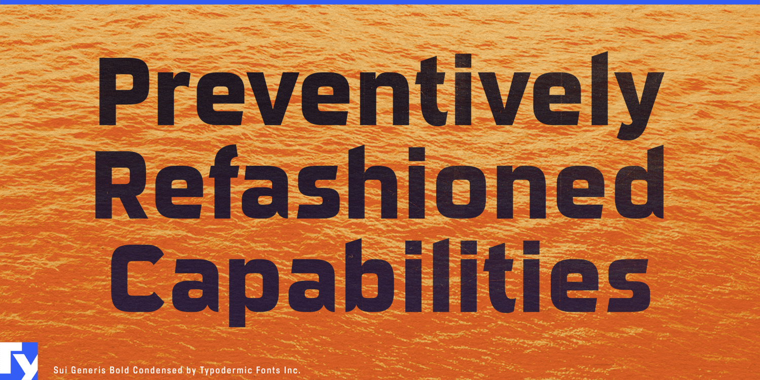 Sui Generis Font Poster #1
