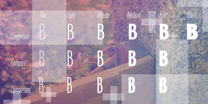 Coegit Font Poster #1