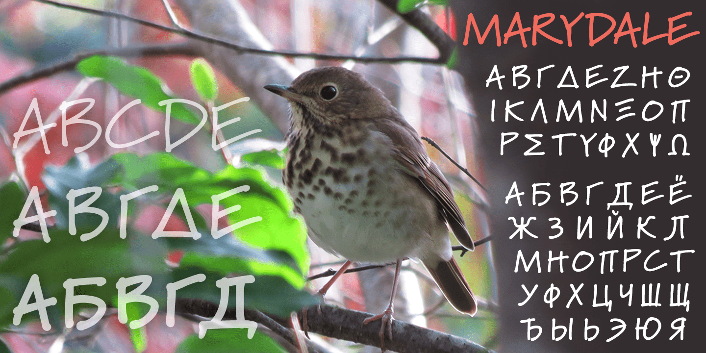 Marydale Font Poster #1
