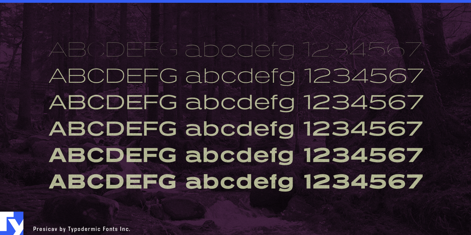 Presicav Font Poster #1