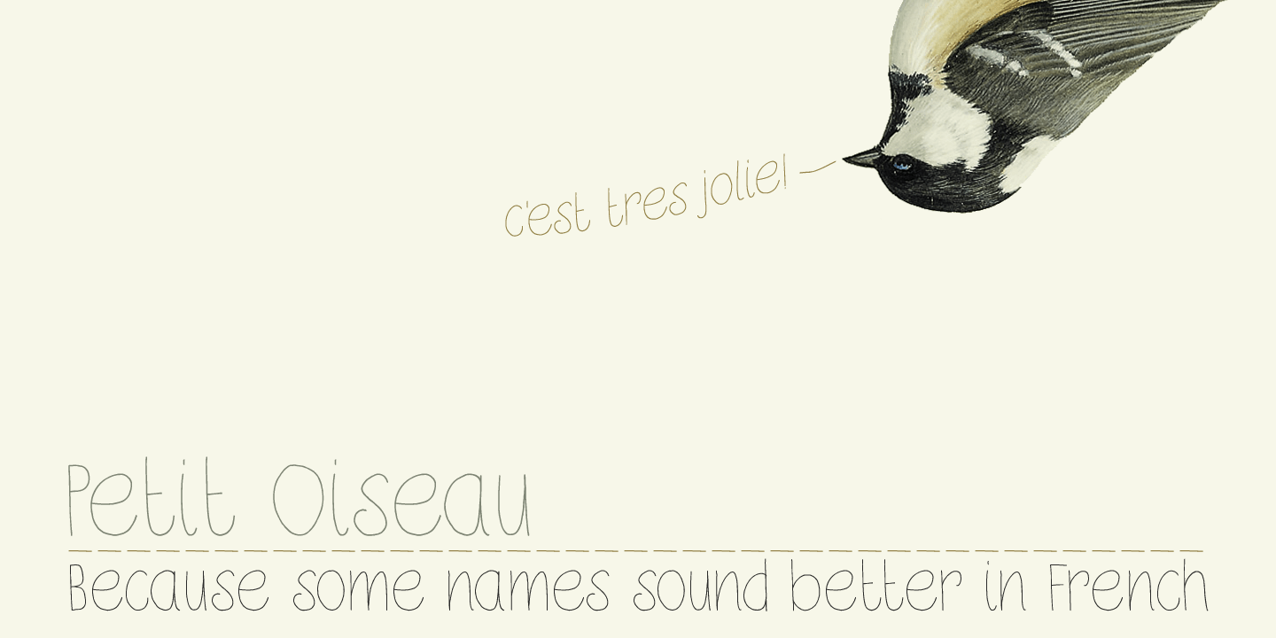 Petit Oiseau Font Poster #1