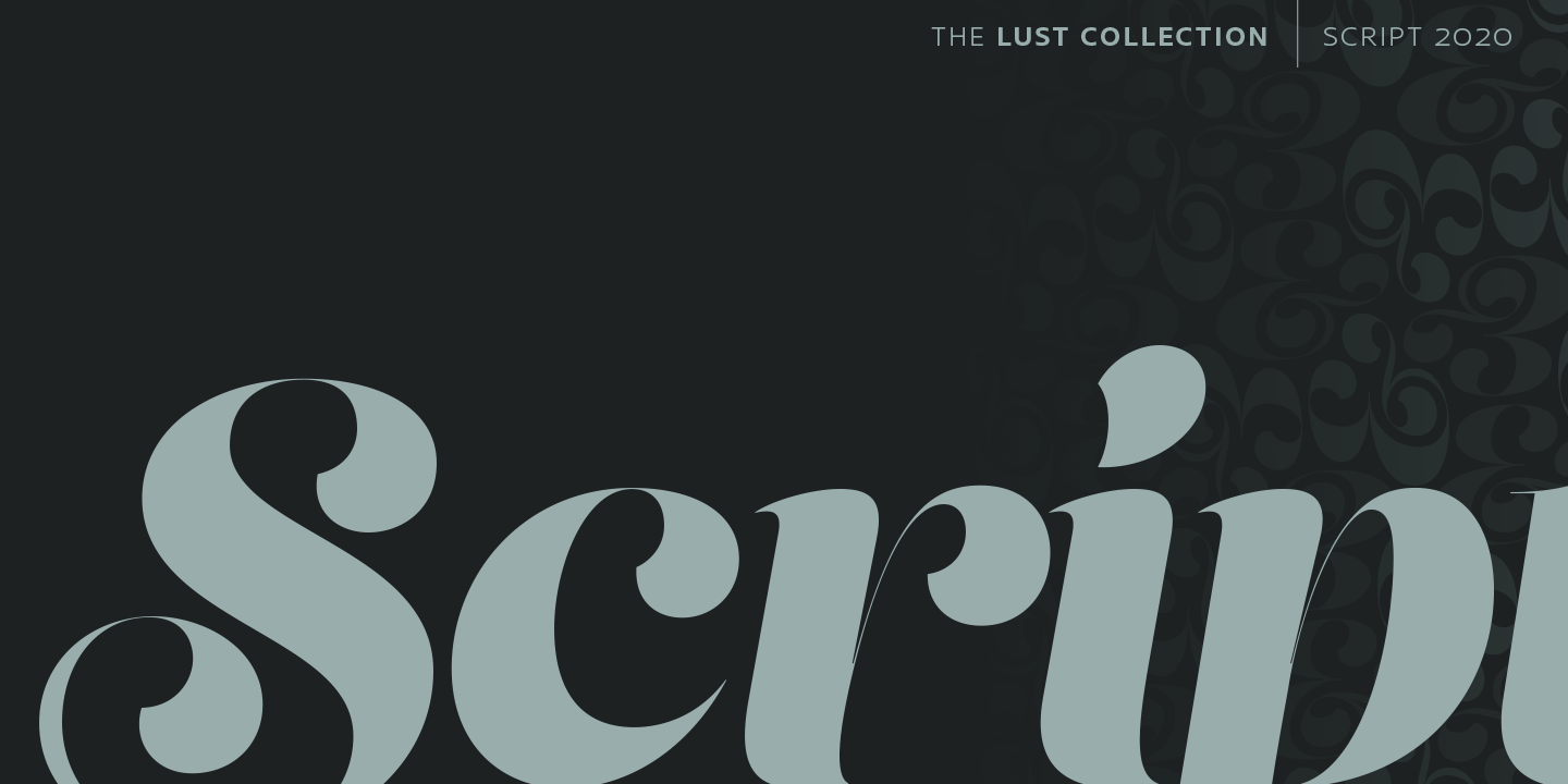 Lust Script Font Poster #1