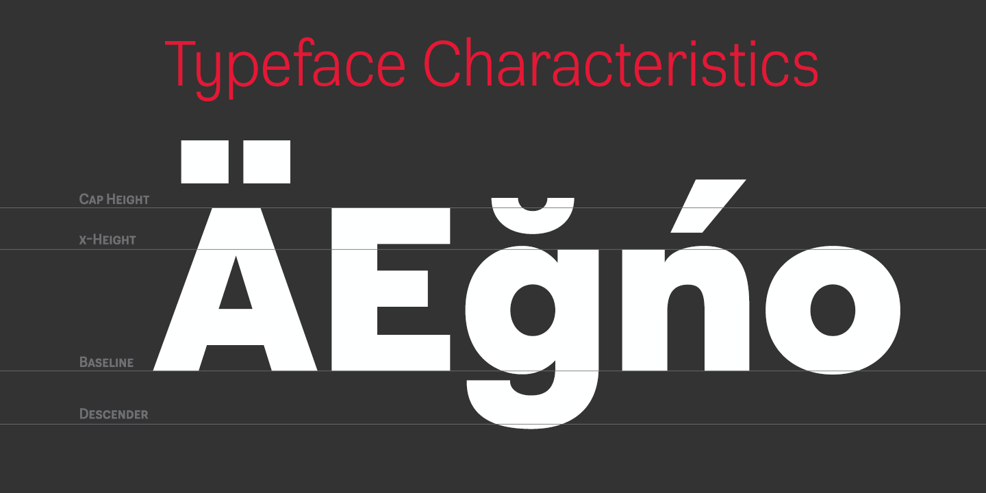 Grayfel Font Poster #1