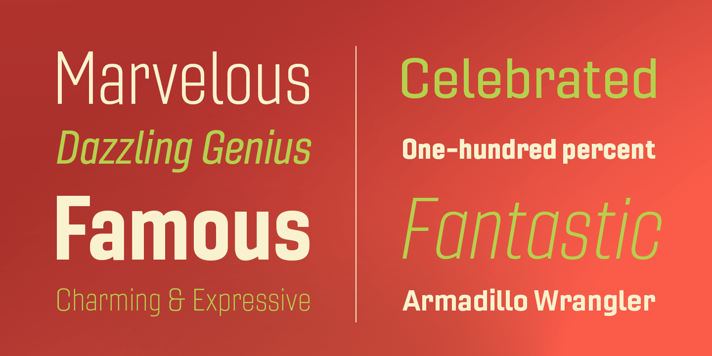 Gineso Font Poster #1