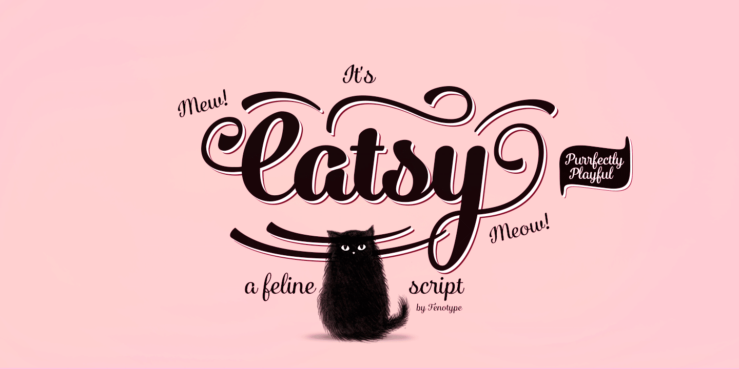 Catsy Font Family Poster