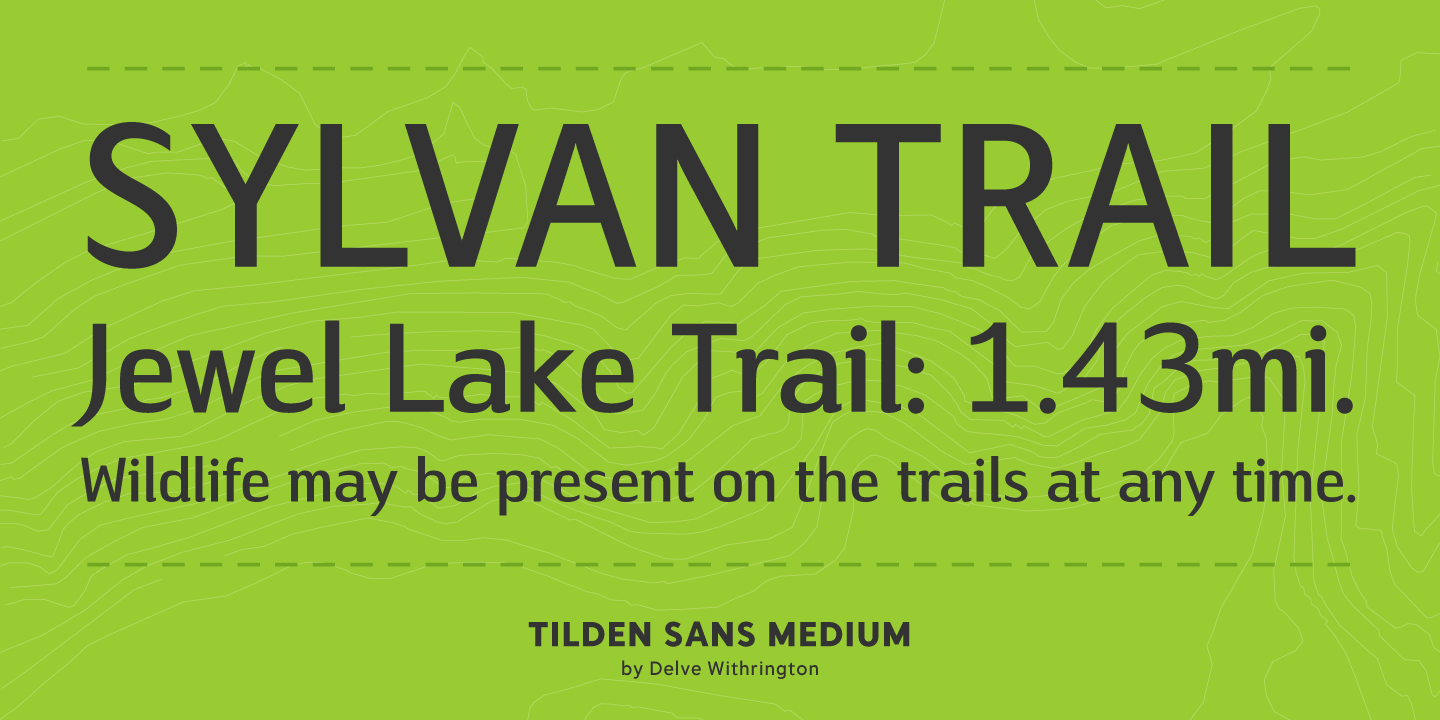 Tilden Sans Font Poster #1