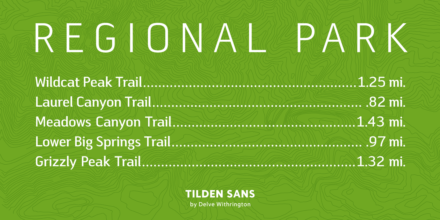 Tilden Sans Font Poster #1