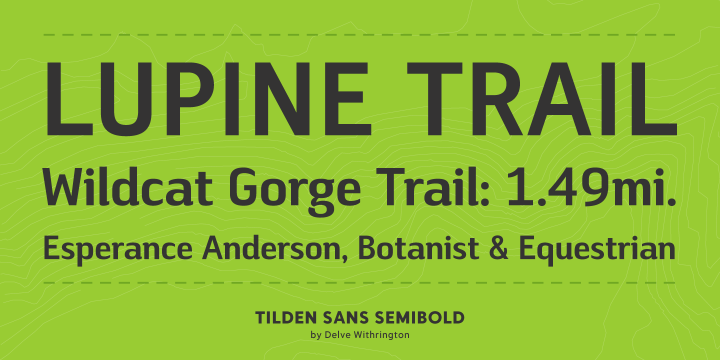Tilden Sans Font Poster #1
