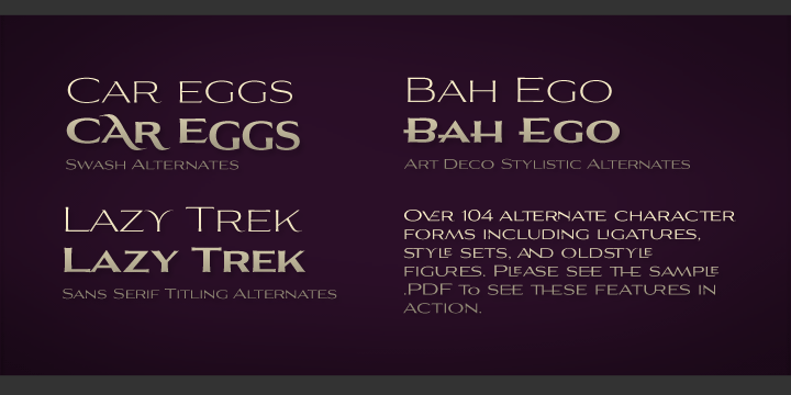 Aviano Flare Font Poster #1